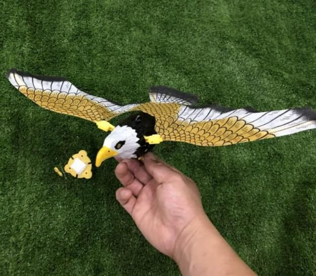 Realistic Flying Eagle Bird With Spread Wings