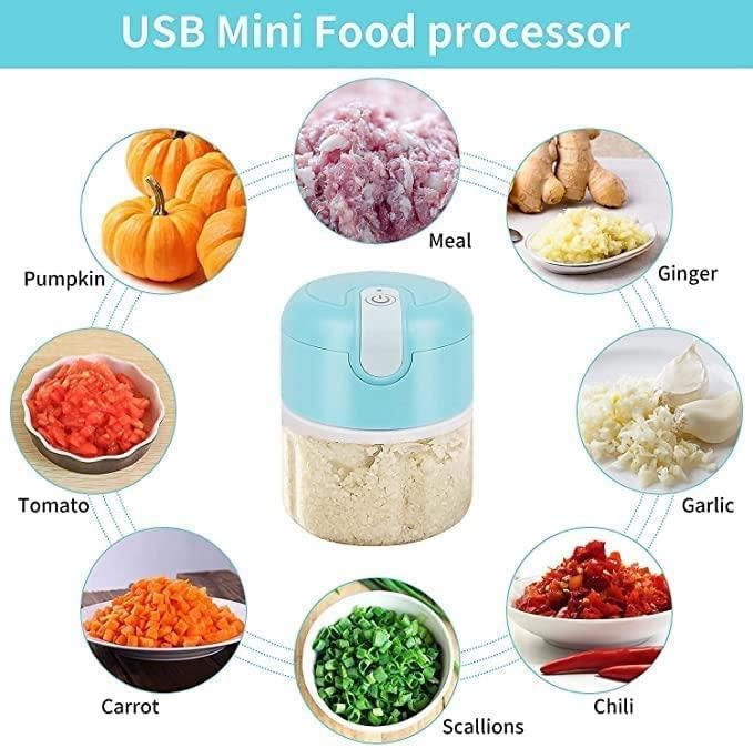 Mini Electric Meat/Garlic Chopper