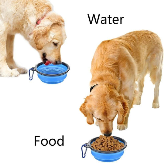 Foldable Silicone Pet Feed Bowl