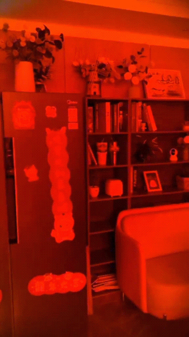 SpyGuard™ - Mini Camera Detector by Plunky™